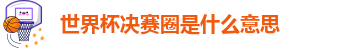 世界杯决赛圈是什么意思
